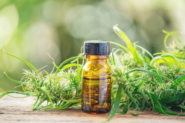 Quels sont les points forts de se procurer du cannabidiol dans une boutique spécialisée ?