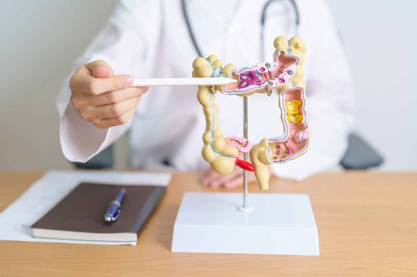 les signes de la maladie de Crohn : symptômes et options de traitement